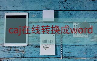 如何把caj转换成word（caj格式转换成word的方法）