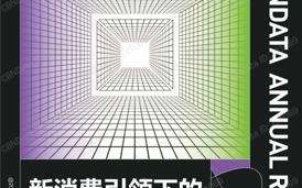 2020中国互联网消费生态大数据报告