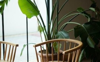 绝对成交的10个步骤，这个妙计让你客户源源不断