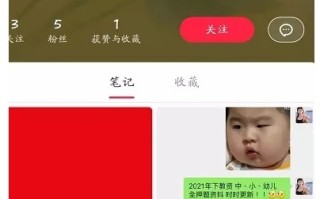 如何利用小红书赚钱? 如何利用小红书赚钱?