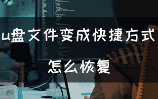 如何查看被篡改u盘-(如何查看被篡改u盘文件)