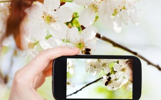 二手苹果手机怎么辨别真假（如何识别二手苹果手机是正品）