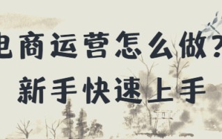 电商运营怎么做？新手快速上手，实现收益