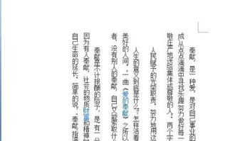 word文字竖排怎么设置（Word中怎么将文字改成竖排显示）