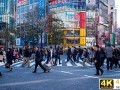 疫情过后，品牌商的渠道策略需做出哪些调整？