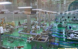 从牧场到餐桌30小时，盒马首条全链路数字化牛肉生产线投产