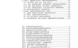 2021年中国直播电商行业发展前景及MCN机构转型升级研究报告