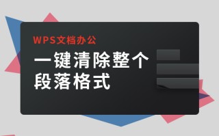 wps清除段落布局（wps文字清除所有段落格式）