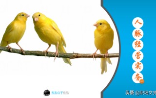 62页完整版，人脉经营实务培训PPT，积累人脉马到成功，果断收藏