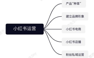 企业的小红书运营团队组织架构设计方案