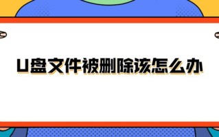 u盘怎么撤销删除（U盘文件被删除该怎么办）