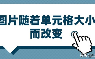 图片自动适应表格大小（图片放到单元格自动调整大小）