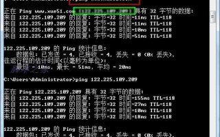 ping命令的基础使用技巧