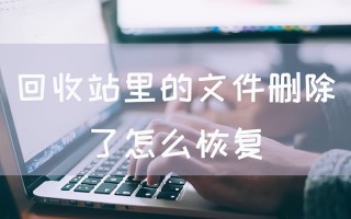 回收站清空了如何恢复文件（回收站里的文件删除了怎么恢复）