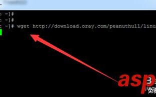 Centos 6.5 x86_64 安装或者设置花生壳ddns的技巧