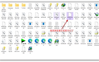 该插件不受支持怎么解决（Win11谷歌的IDM插件用不了怎么解决）