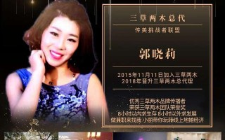 2020做微商加入哪个团队好