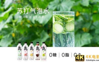元气森林：伪日系迎合国人，兜售0糖0脂概念却对消费者隐藏真相