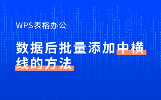 wps怎么添加横线（WPS表格批量添加中横线的方法）