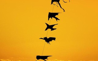 新零售微商模式解析