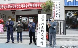 西安市蓝田县美术家协会成立揭牌