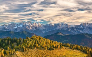 突围电商大促场景，得物在高可用上的探索与实践｜卓越技术 ... ...