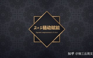 美丽天天秒链动2+1模式