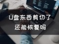 u盘剪切文件如何恢复（u盘的东西剪切了有办法恢复吗）