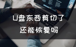 u盘剪切文件如何恢复（u盘的东西剪切了有办法恢复吗）