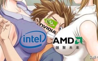电脑显卡什么牌子的好（NVIDIA和AMD买啥牌子好）