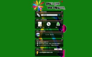 windowslinuxu盘-(windows安装u盘)