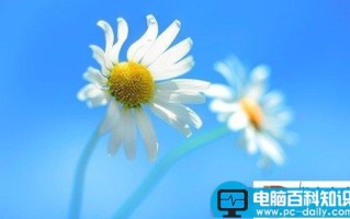 桌面图标不能拖动了不能自由移动的原因以及解决办法