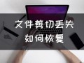 剪切失败后文件丢失怎么找回-(剪切失败后文件丢失怎么找回电脑)