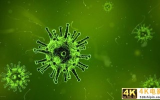 冷链条件下新冠病毒可存活3周 专家从冷链分离出新冠活病毒 冷链条件下新冠病毒可存活3周 专家从冷链分离出新冠活病毒