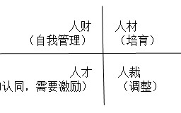 企业管理与组织