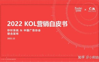 2022年KOL营销白皮书