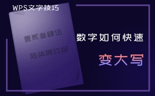 wps怎么改字体大小（wps数字变成大写加上文字说明）