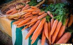 易果生鲜：牺牲了自己，成就了盒马鲜生？