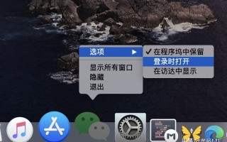 macos启动项管理（macos 系统进程启动项管理）