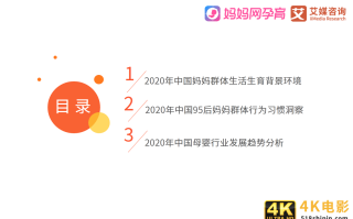 95后妈妈群体行为习惯洞察报告：95后妈妈爱健康也爱美丽