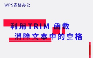 wps表格怎么去掉空格（wps表格怎么消除空格）