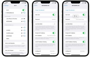 怎么查苹果支持的网络-(怎么查苹果支持的网络速度)