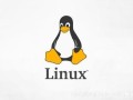提示分区需要格式化怎么办（linux磁盘添加分区格式化挂载步骤）