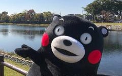 苹果如何剪切视频（iphone剪辑视频技巧）