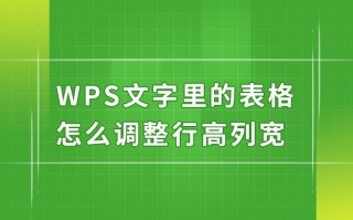wps怎么调行高列宽（wps文字调整表格的行高和列宽）