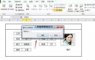 excel文件解密方法（excel表格取消密码保护的教程详解）