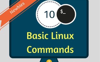 linux基础命令的使用（linux初学者常用命令）