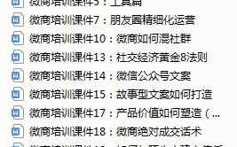 你们是如何看待微商的？