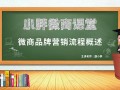 品牌运营胡小胖：微商品牌营销流程概述 - 新零售品牌起盘课堂
