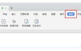 电脑上wps突然打不开（加密文档打不开了怎么办）
